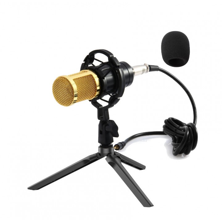Микрофон конденсаторный студийный со штативом ZEEPIN BM 800