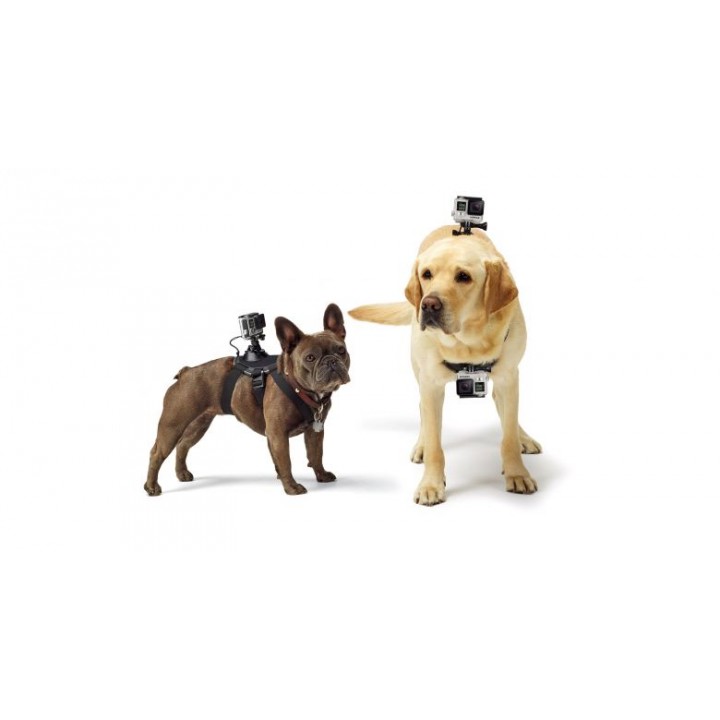 Крепление для собак GoPro Fetch Dog ADOGM-001