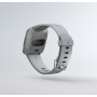 Смарт годинник Fitbit Gray / Silver Aluminum (FB505SRGY)